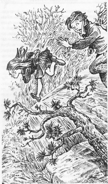 Иллюстрация к книге — Моя тетушка - ведьма [pic068.jpg]