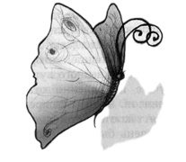 Иллюстрация к книге — В поисках йети [img22.jpg]