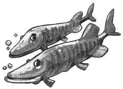 Иллюстрация к книге — Тайна озера Лох-Несс [img19.jpg]