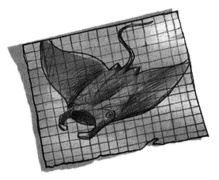 Иллюстрация к книге — Жемчужина дракона [img26.jpg]