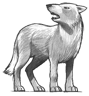 Иллюстрация к книге — Волшебный единорог [i_016.jpg]