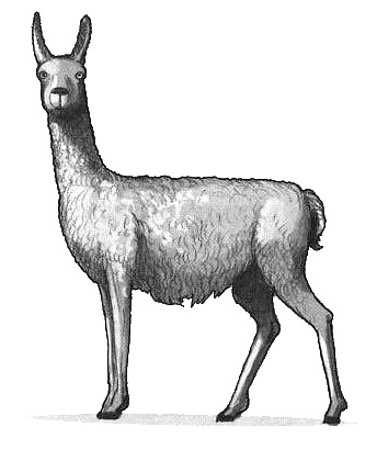 Иллюстрация к книге — Волшебный единорог [i_026.jpg]