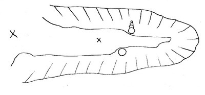 Иллюстрация к книге — Удивительные приключения Тома Скаттерхорна. Книга 1. Путешественник во времени [pic01.jpg]