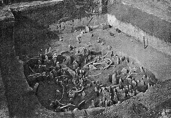 Иллюстрация к книге — Русские - не славяне? [i_007.jpg]