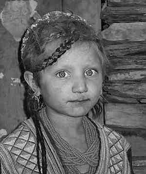 Иллюстрация к книге — Русские - не славяне? [i_029.jpg]