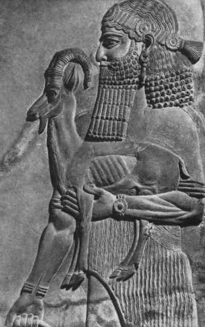 Иллюстрация к книге — Русские - не славяне? [i_036.jpg]