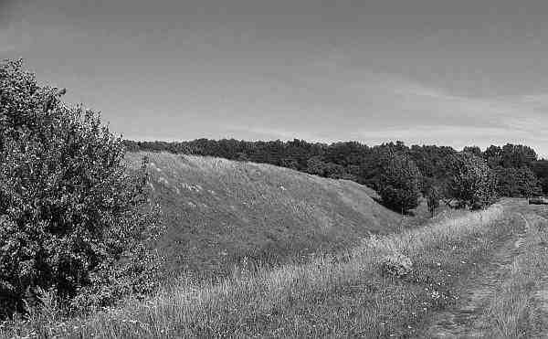 Иллюстрация к книге — Русские - не славяне? [i_040.jpg]