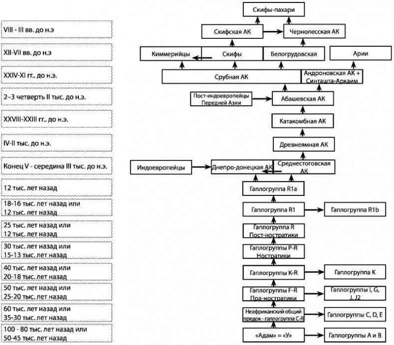 Иллюстрация к книге — Русские - не славяне? [i_041.jpg]