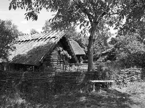 Иллюстрация к книге — Русские - не славяне? [i_080.jpg]