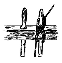 Иллюстрация к книге — Фрегат "Звенящий" [i_058.jpg]