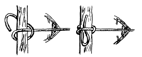 Иллюстрация к книге — Фрегат "Звенящий" [i_159.jpg]