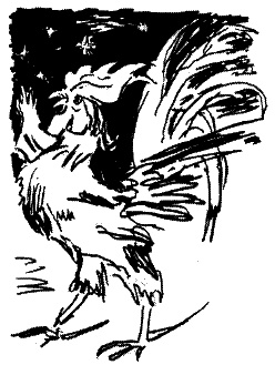 Иллюстрация к книге — Фрегат "Звенящий" [i_173.jpg]