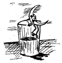 Иллюстрация к книге — Фрегат "Звенящий" [i_175.jpg]