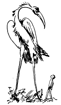 Иллюстрация к книге — Фрегат "Звенящий" [i_178.jpg]