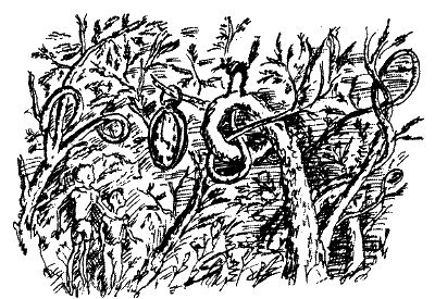 Иллюстрация к книге — Фрегат "Звенящий" [i_217.jpg]