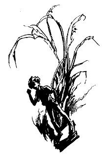 Иллюстрация к книге — Фрегат "Звенящий" [i_234.jpg]