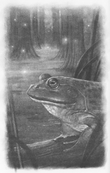 Иллюстрация к книге — Мыши и магия [_07.jpg]