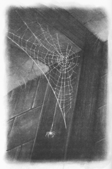 Иллюстрация к книге — Мыши и магия [_08.jpg]