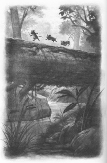 Иллюстрация к книге — Мыши и магия [_09.jpg]