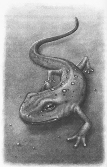 Иллюстрация к книге — Мыши и магия [_16.jpg]