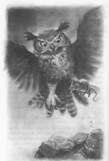 Иллюстрация к книге — Мыши и магия [_17.jpg]