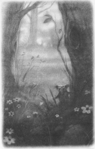 Иллюстрация к книге — Волшебник Подземного города [pic01.jpg]