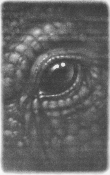 Иллюстрация к книге — Волшебник Подземного города [pic07.jpg]