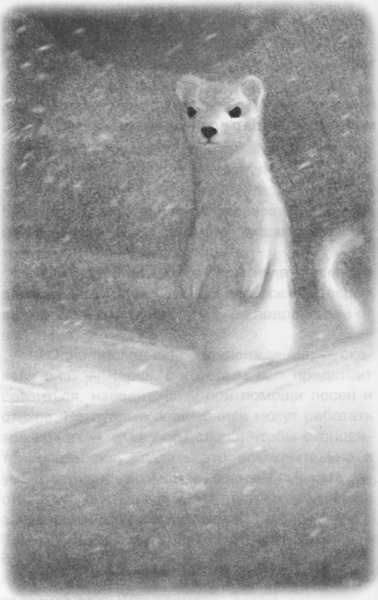 Иллюстрация к книге — Волшебник Подземного города [pic09.jpg]