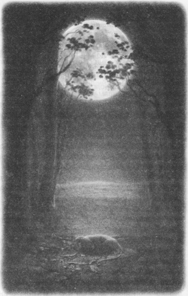 Иллюстрация к книге — Волшебник Подземного города [pic12.jpg]