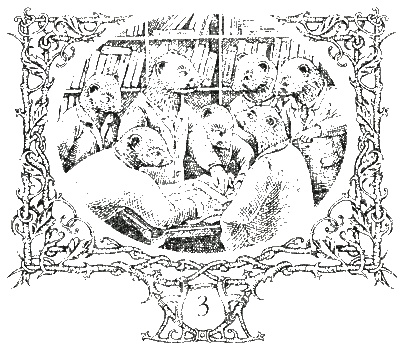 Иллюстрация к книге — Последняя тайна [i_006.jpg]