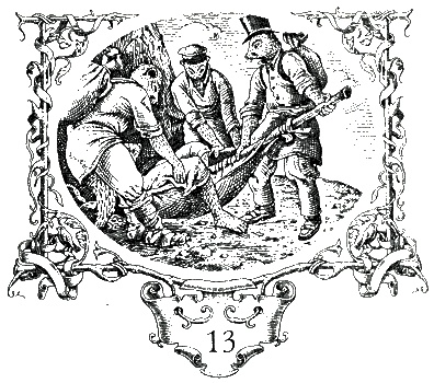 Иллюстрация к книге — Последняя тайна [i_017.jpg]