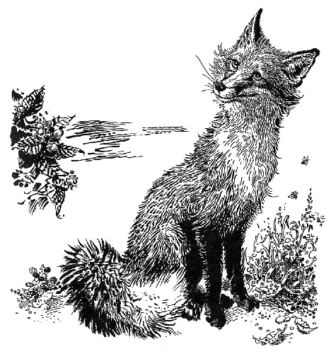 Иллюстрация к книге — Лунный зверь [i_001.jpg]