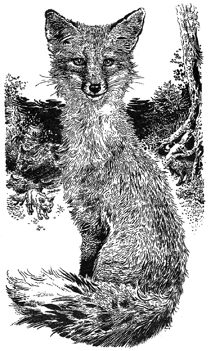 Иллюстрация к книге — Лунный зверь [i_002.jpg]