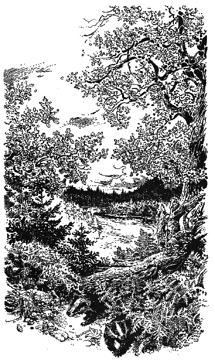 Иллюстрация к книге — Лунный зверь [i_003.jpg]