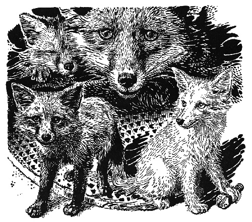 Иллюстрация к книге — Лунный зверь [i_007.jpg]