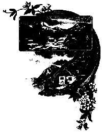 Иллюстрация к книге — Монсегюр. В огне инквизиции [i_017.jpg]