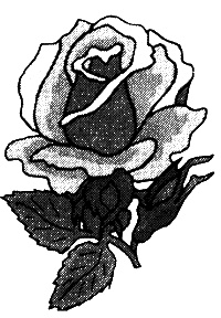 Иллюстрация к книге — Монсегюр. В огне инквизиции [i_035.jpg]