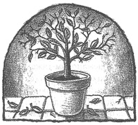 Иллюстрация к книге — Чисто убийственная магия [i_003.jpg]