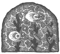 Иллюстрация к книге — Чисто убийственная магия [i_005.jpg]