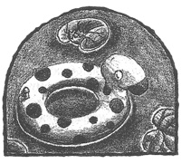 Иллюстрация к книге — Чисто убийственная магия [i_007.jpg]