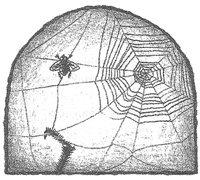 Иллюстрация к книге — Чисто убийственная магия [i_009.jpg]