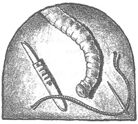 Иллюстрация к книге — Чисто убийственная магия [i_028.jpg]