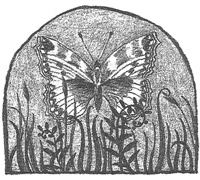 Иллюстрация к книге — Чисто убийственная магия [i_037.jpg]