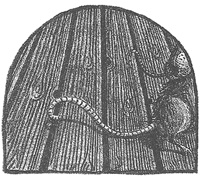 Иллюстрация к книге — Чисто убийственная магия [i_038.jpg]