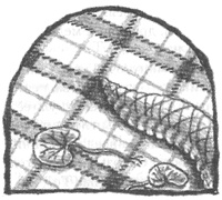 Иллюстрация к книге — Чисто убийственное зло [i_008.jpg]