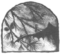 Иллюстрация к книге — Чисто убийственное зло [i_021.jpg]