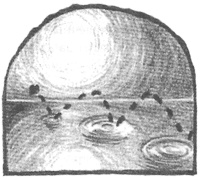 Иллюстрация к книге — Чисто убийственное зло [i_024.jpg]