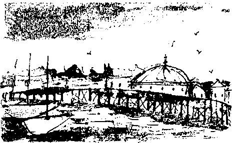 Иллюстрация к книге — Правдивая история про девочку Эмили и ее хвост [img04.jpg]