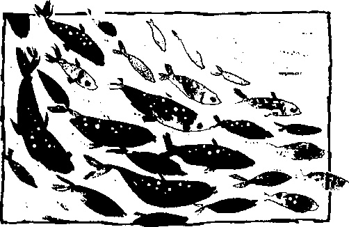 Иллюстрация к книге — Правдивая история про девочку Эмили и ее хвост [img06.jpg]