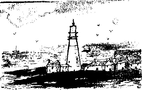 Иллюстрация к книге — Правдивая история про девочку Эмили и ее хвост [img09.jpg]